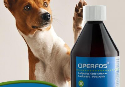 Ciperfos – Antiparasitario Externo de Efecto Residual