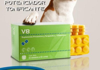 V8 – Energizante / Potenciador / Tonificante